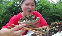 胖妹陈说美食最新爆料,美食界的最新爆款，你绝对不能错过！