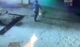 贵州爆料监控视频